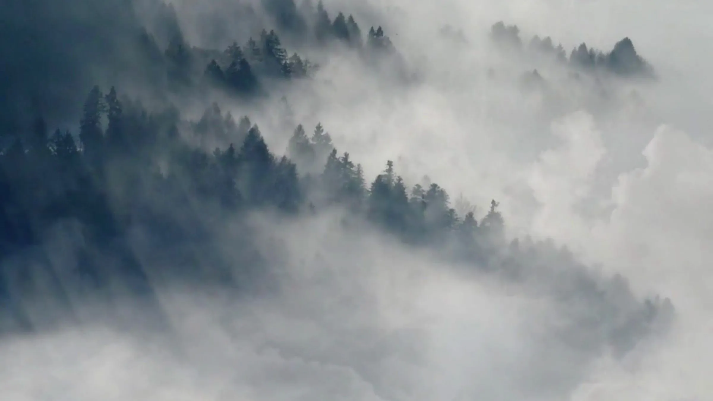 Brand Protection Is Not About Control